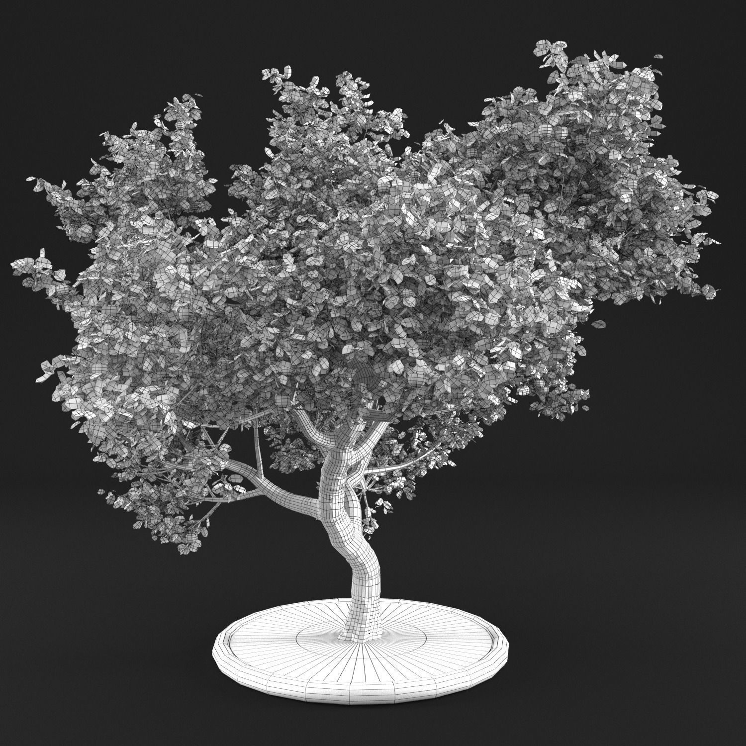 Apple tree 3D model_5