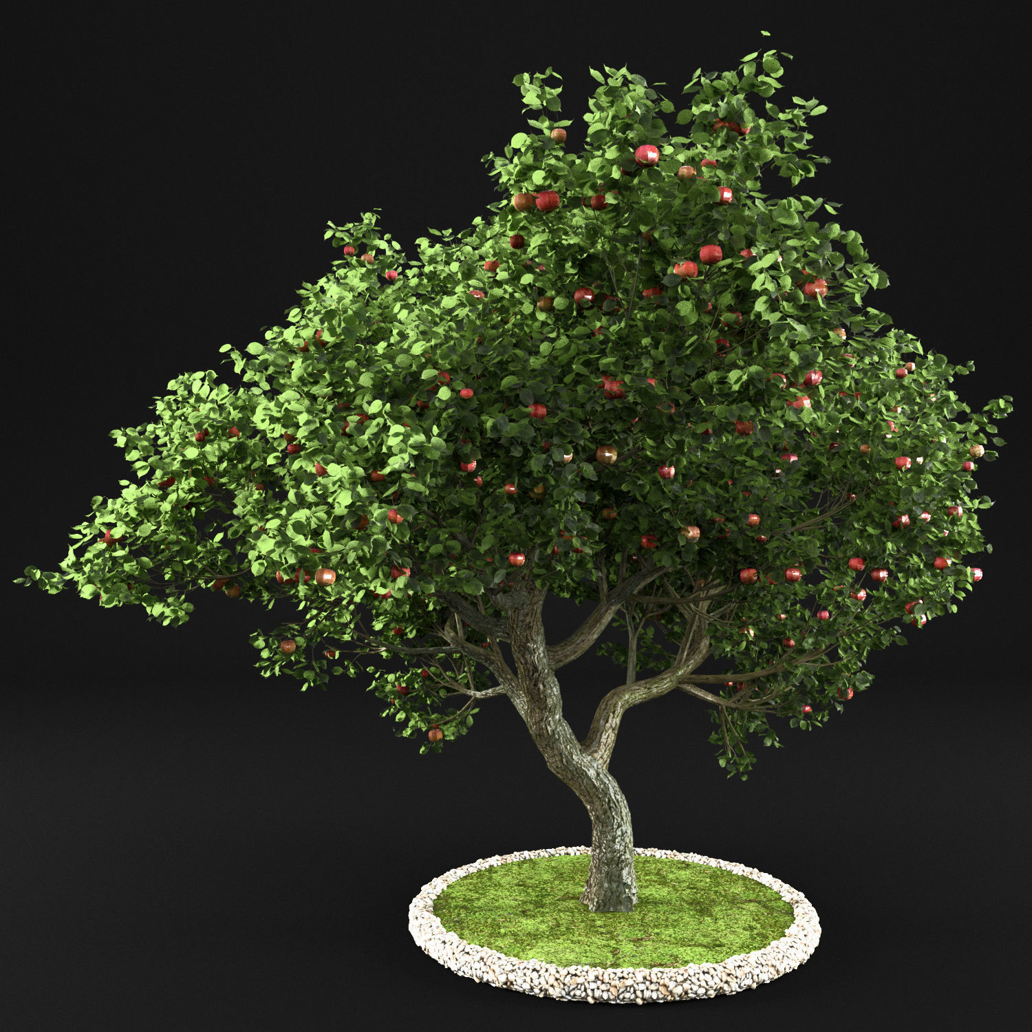Apple tree 3D model_1