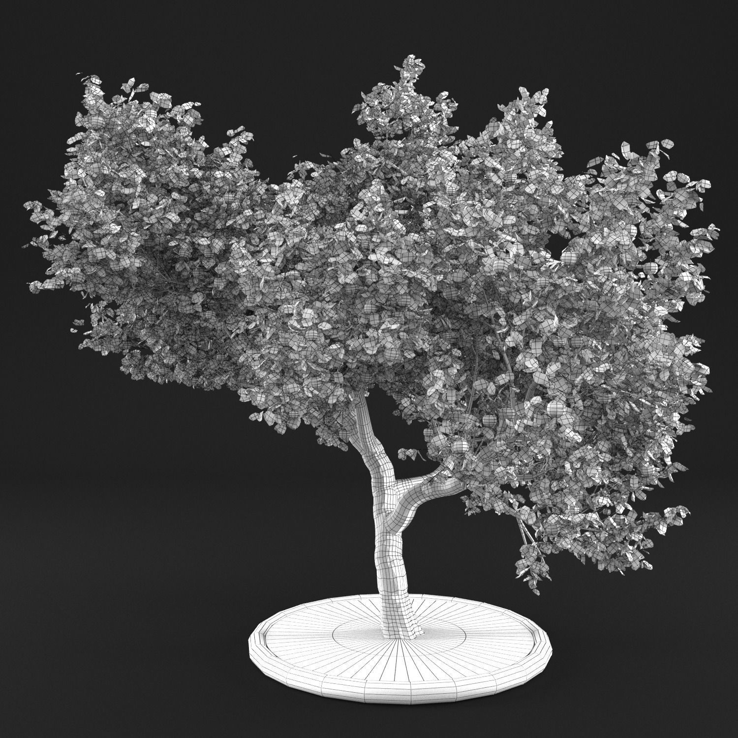 Apple tree 3D model_6