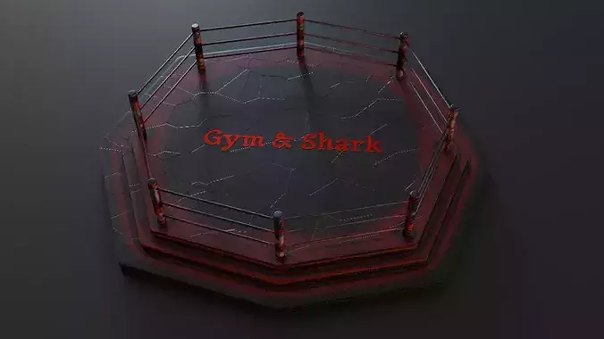 Hexagon Sports Ring 3D Model - Game Ready -Blender Asset
