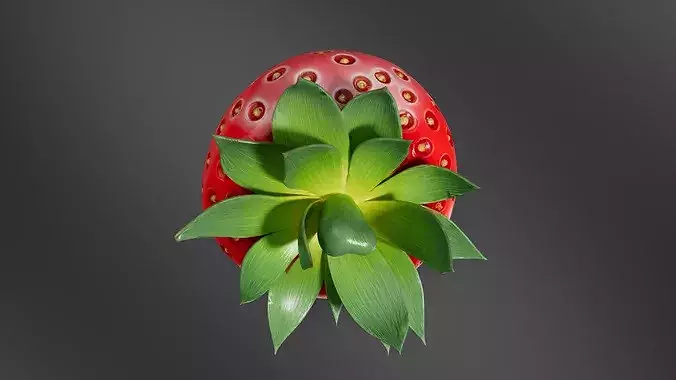 strawberry 02 3D print model 6