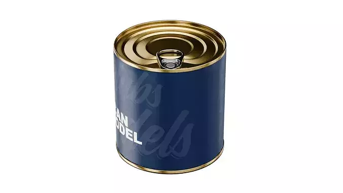 Tin Can Low-poly 3D model 7