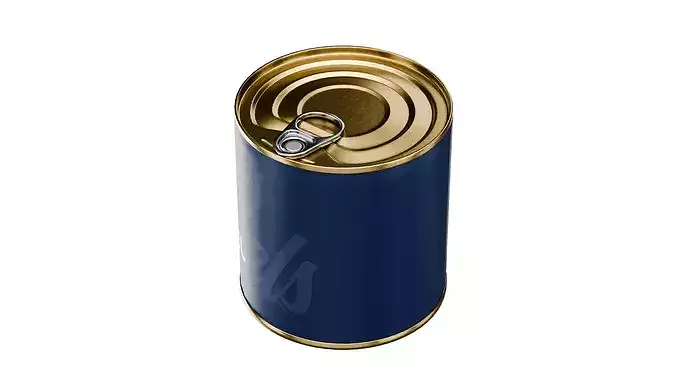 Tin Can Low-poly 3D model 5