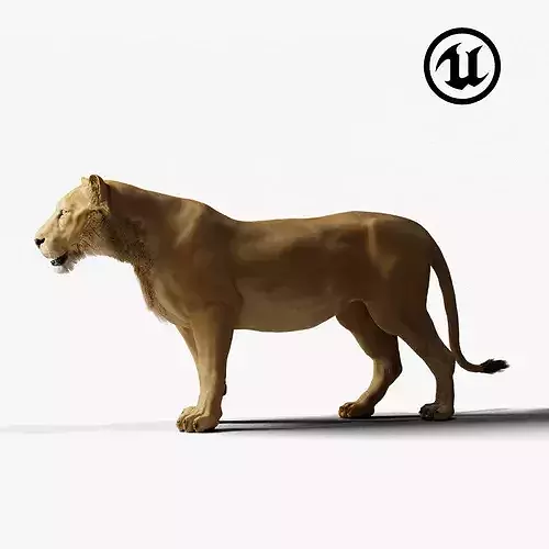 Lioness - UE5 - Game-ready