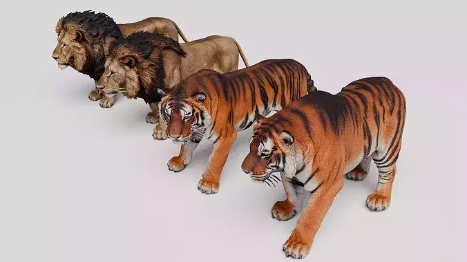 Lion and Tiger Pack