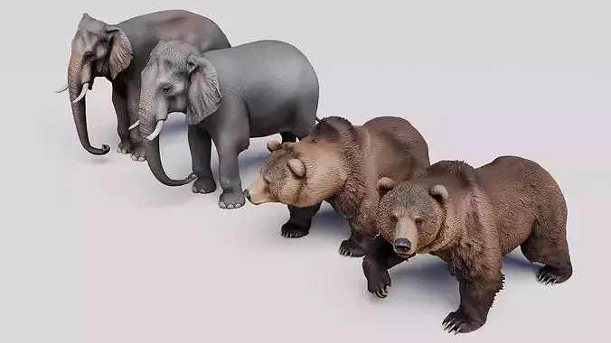 Elephant and Grizzly