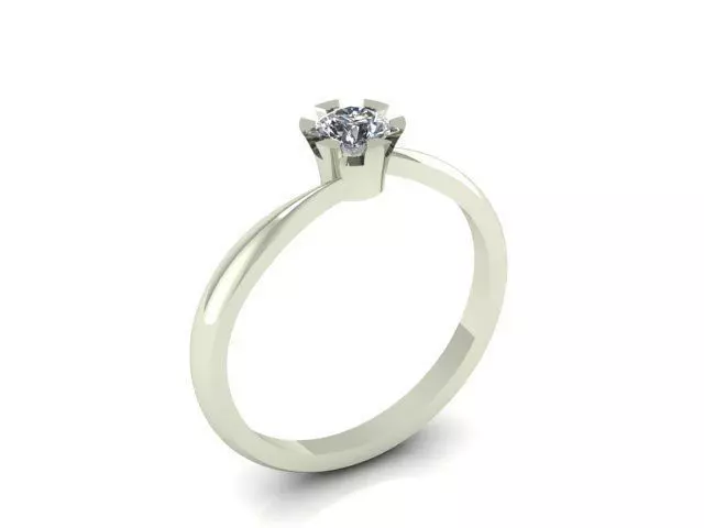 Ring R0086  3D print model_0