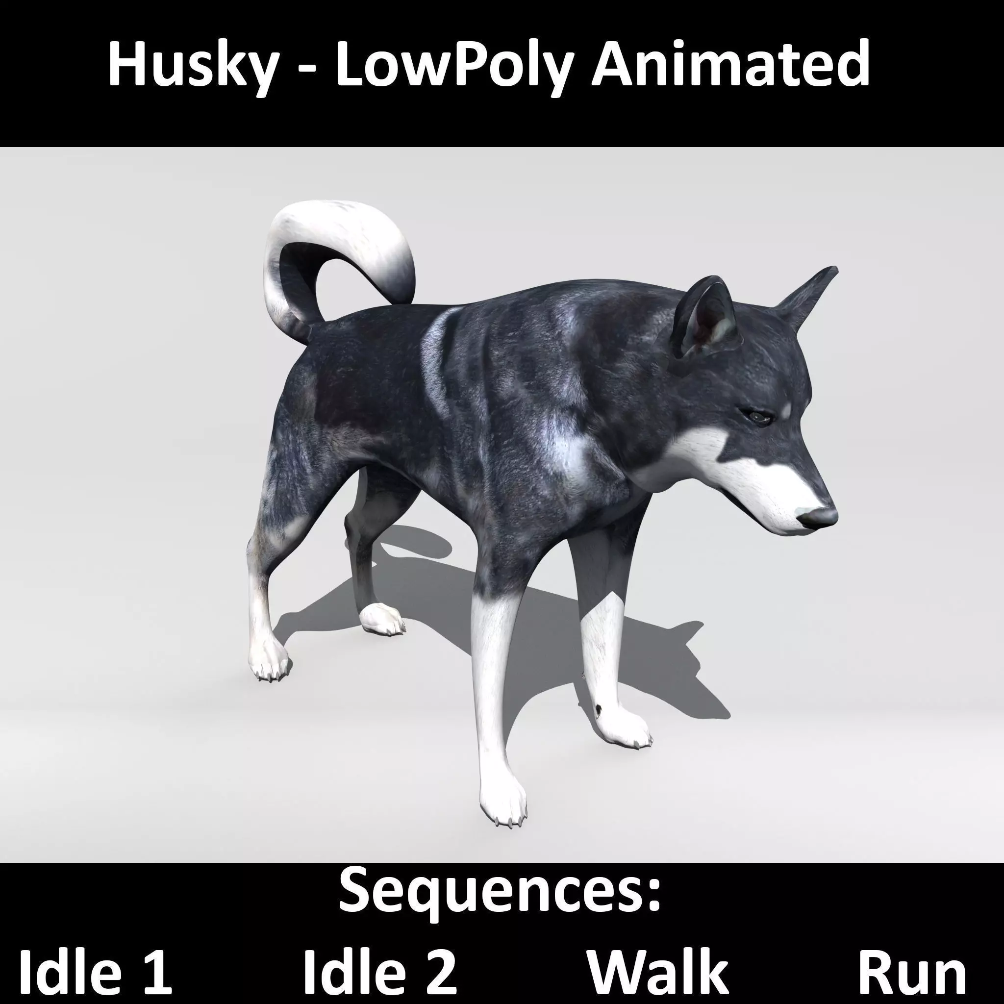 Husky animated sequences Low-poly 3D model_0