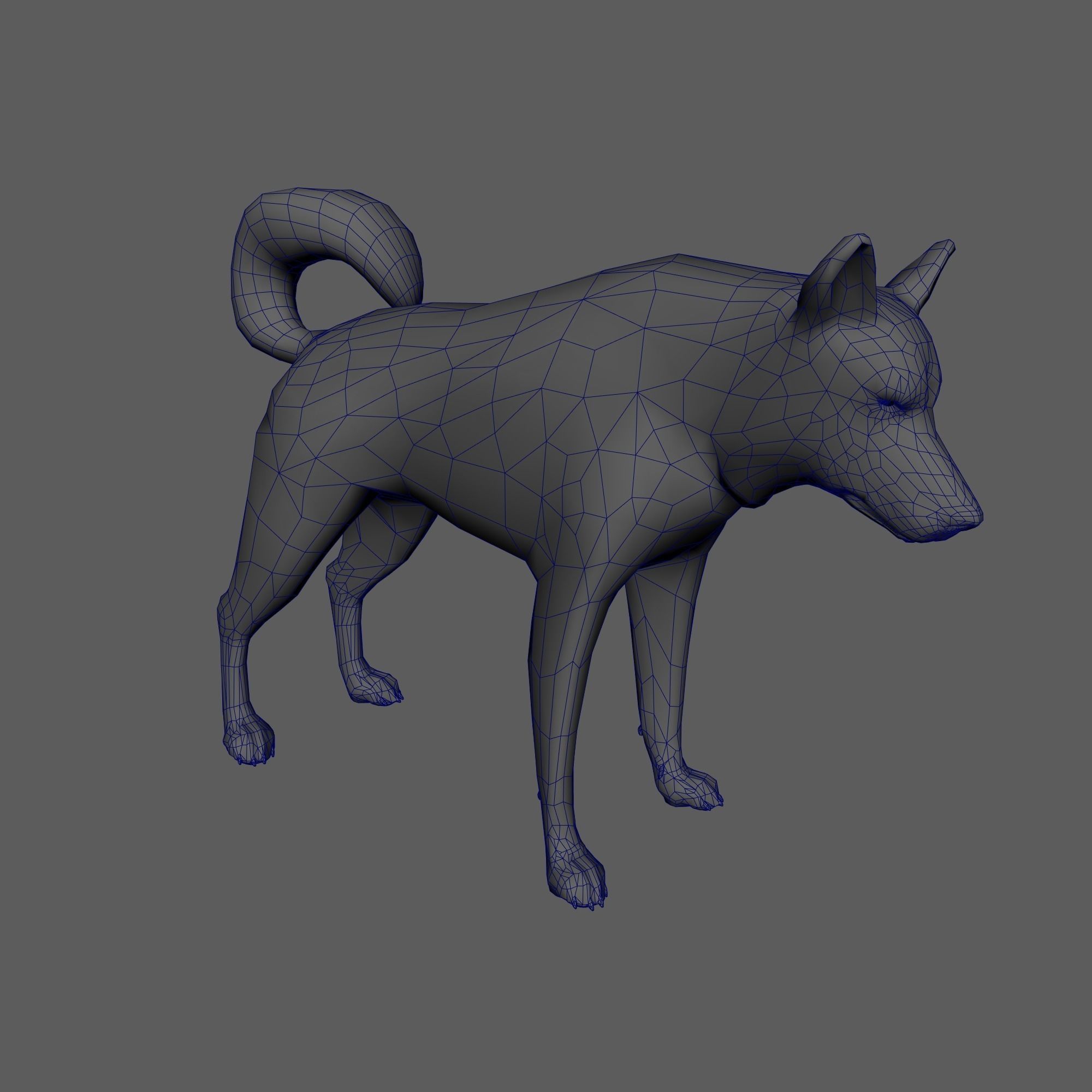 Husky animated sequences Low-poly 3D model_4