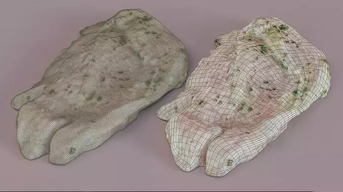 Marinated Raw Chicken Thigh Steaks Photogrammetry Scan Low-poly 3D model 3