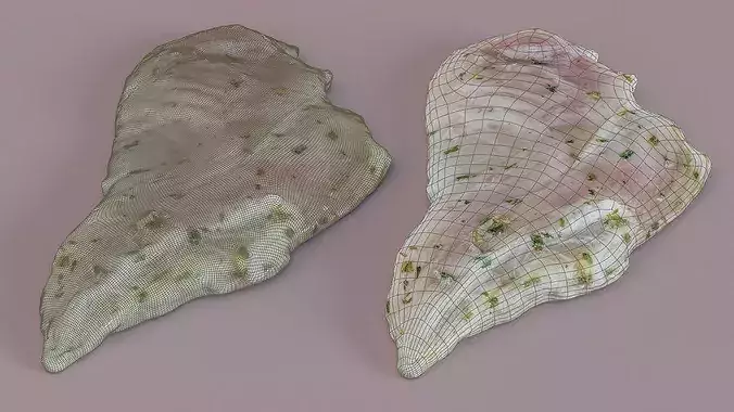 Marinated Raw Chicken Thigh Steaks Photogrammetry Scan Low-poly 3D model 2