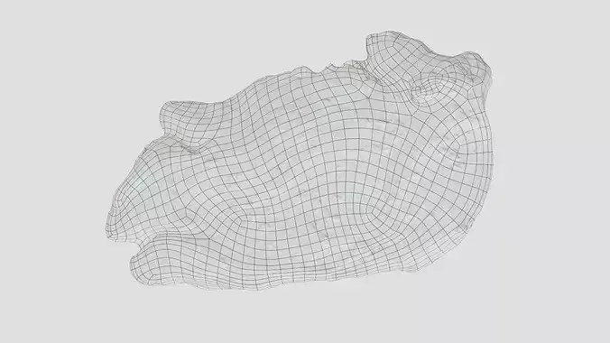 Marinated Raw Chicken Thigh Steaks Photogrammetry Scan Low-poly 3D model 6