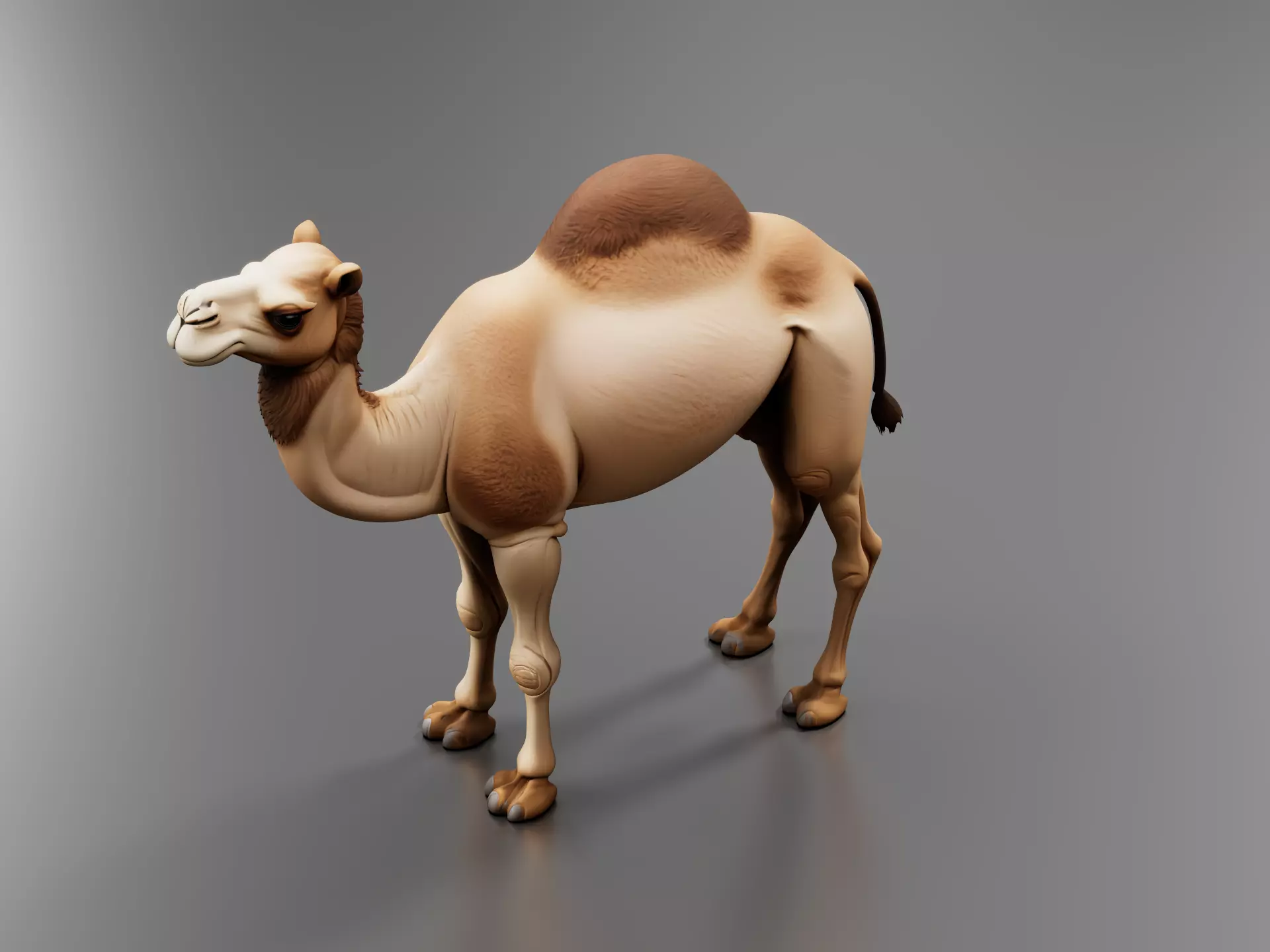 Camel 3D print model