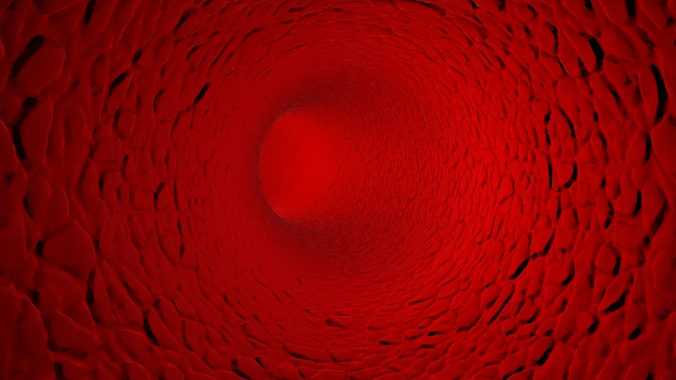 Inside Human Vein or Artery  3D model