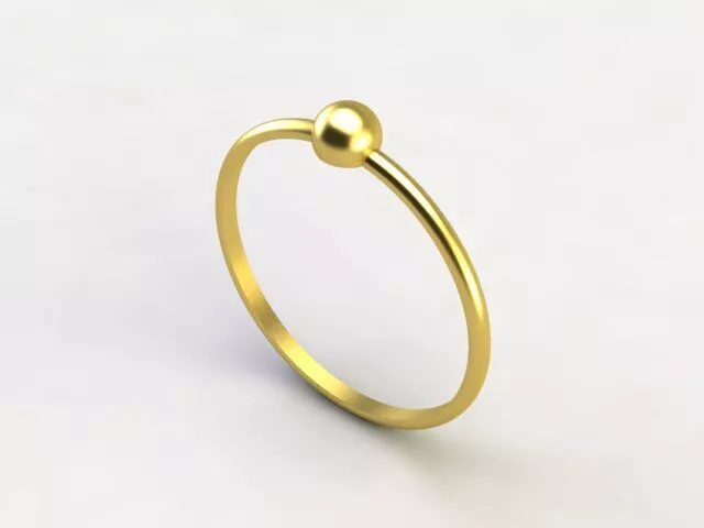 Dainty Ring Single Bid Minimalist Band Gold Silver 3D print model