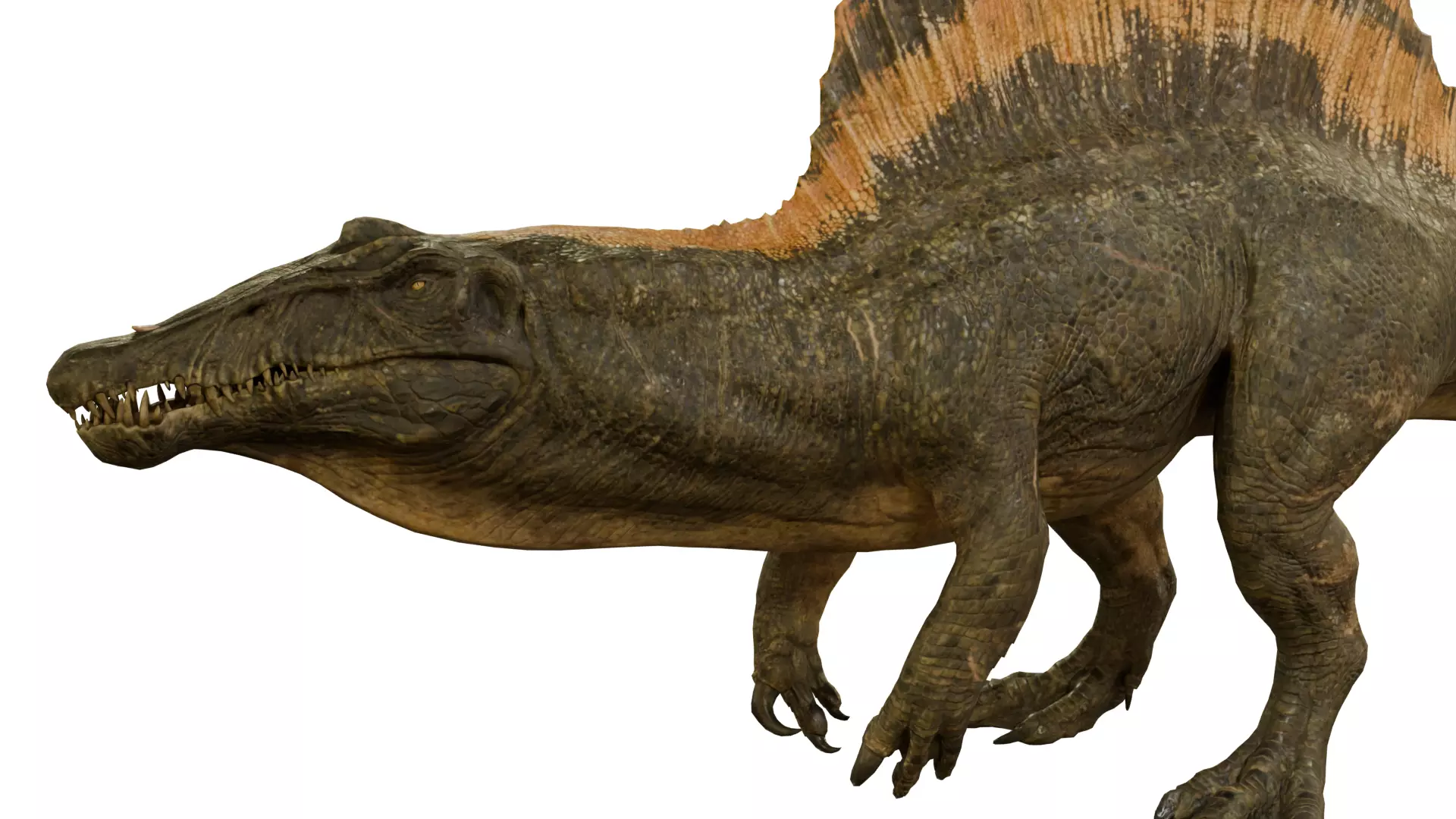 Spinosaurus Hunter JWR 3D model