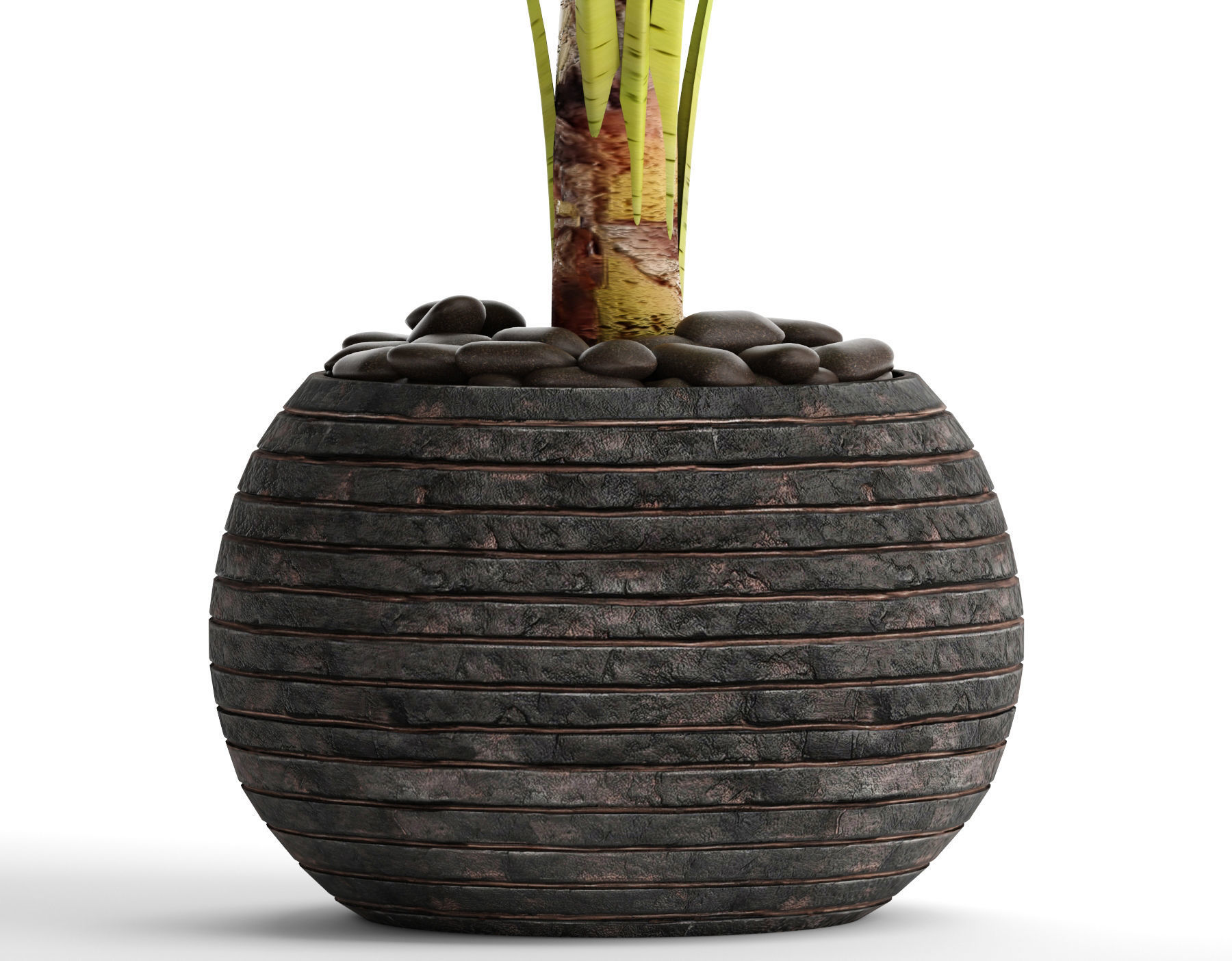 Banana Tree 3D model_1