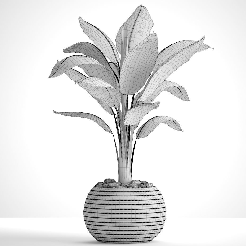 Banana Tree 3D model_8