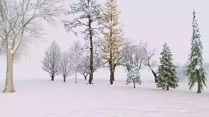 Winter Environment Collection