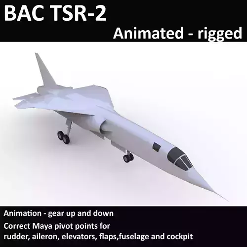 BAC TSR-2 Low-poly 3D model