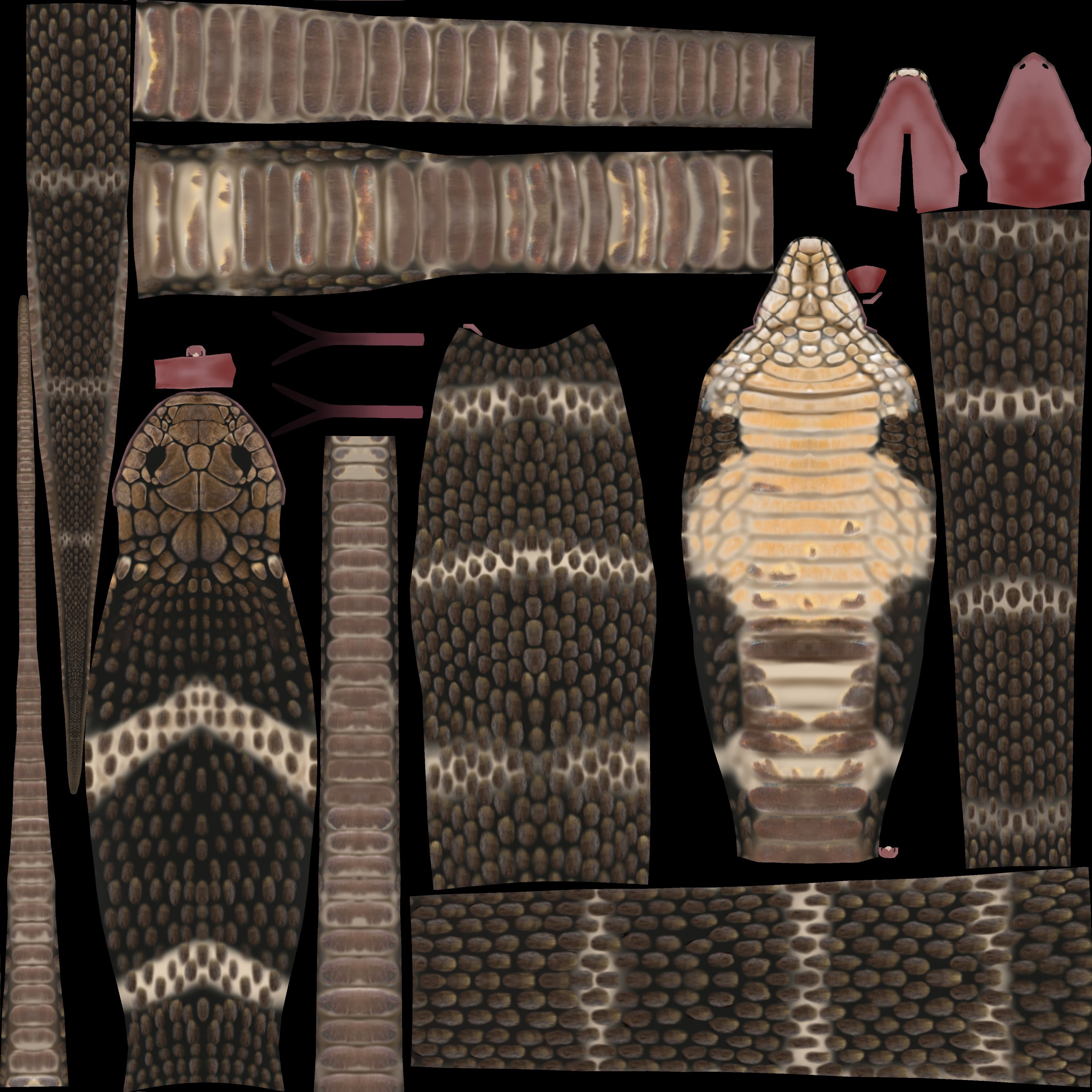 Cobra Animated Low-poly 3D model_8