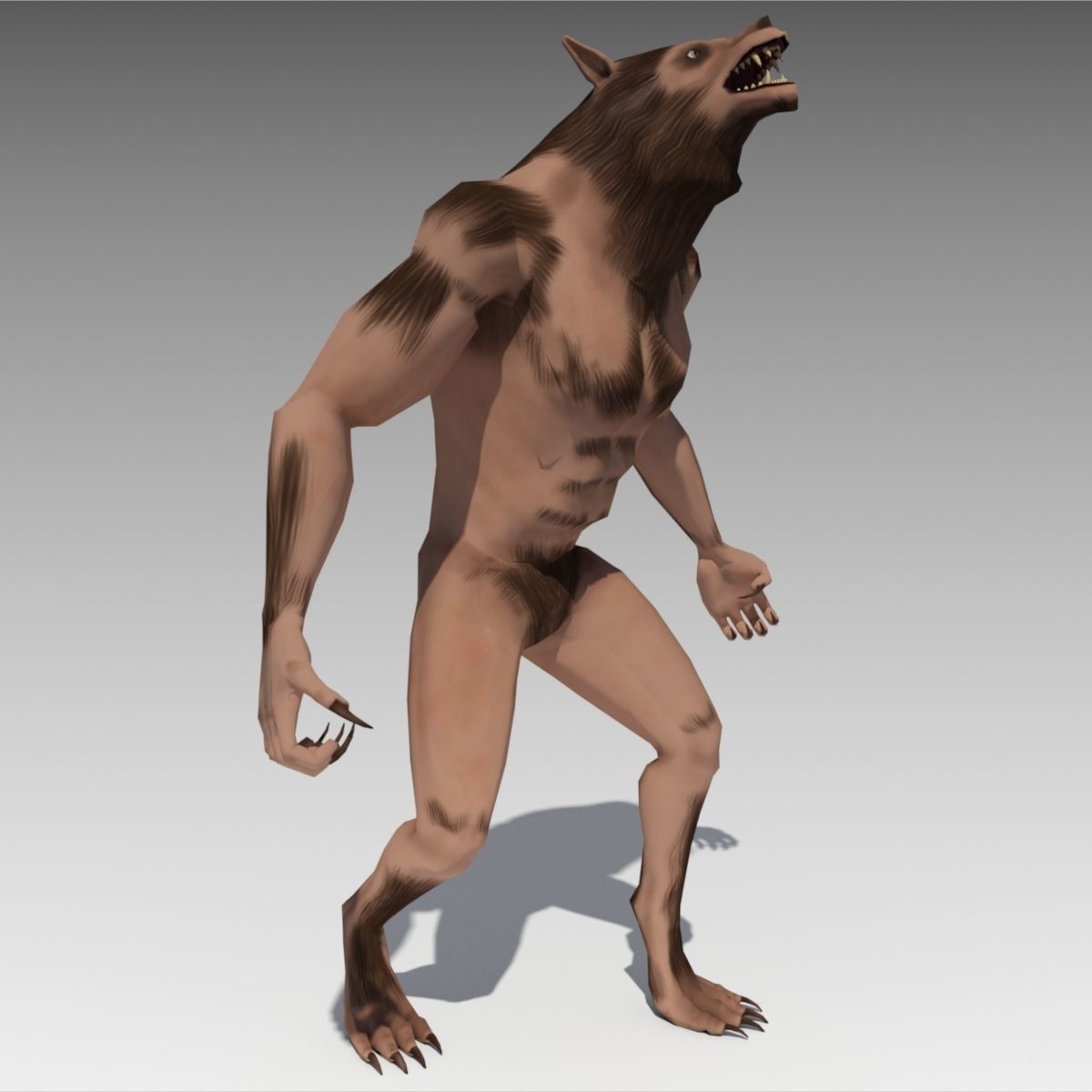 Werewolf Animated Low-poly 3D model_5