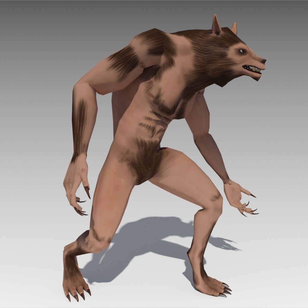 Werewolf Animated Low-poly 3D model_4