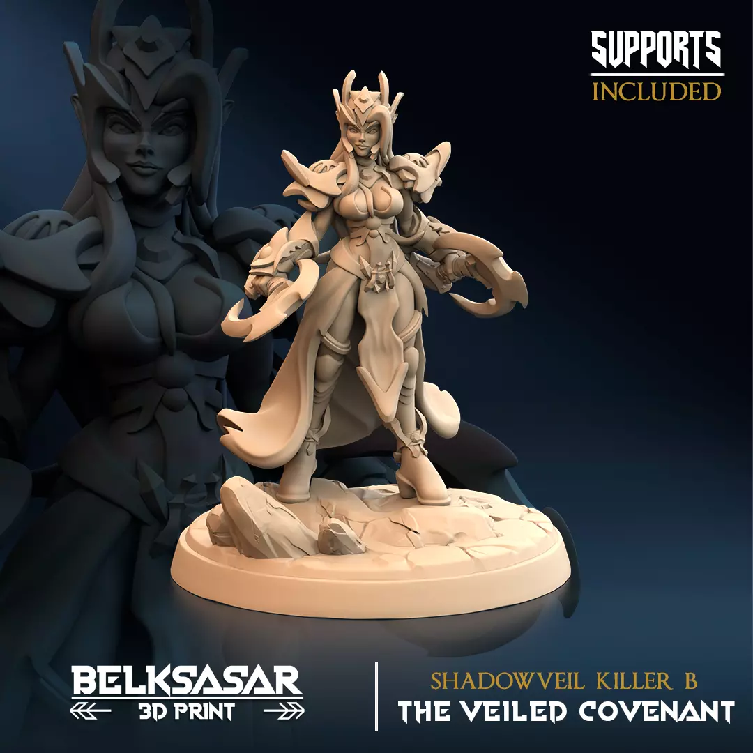 Drow Dual Blade Assassin Shadowveil Killer B 3D print model
