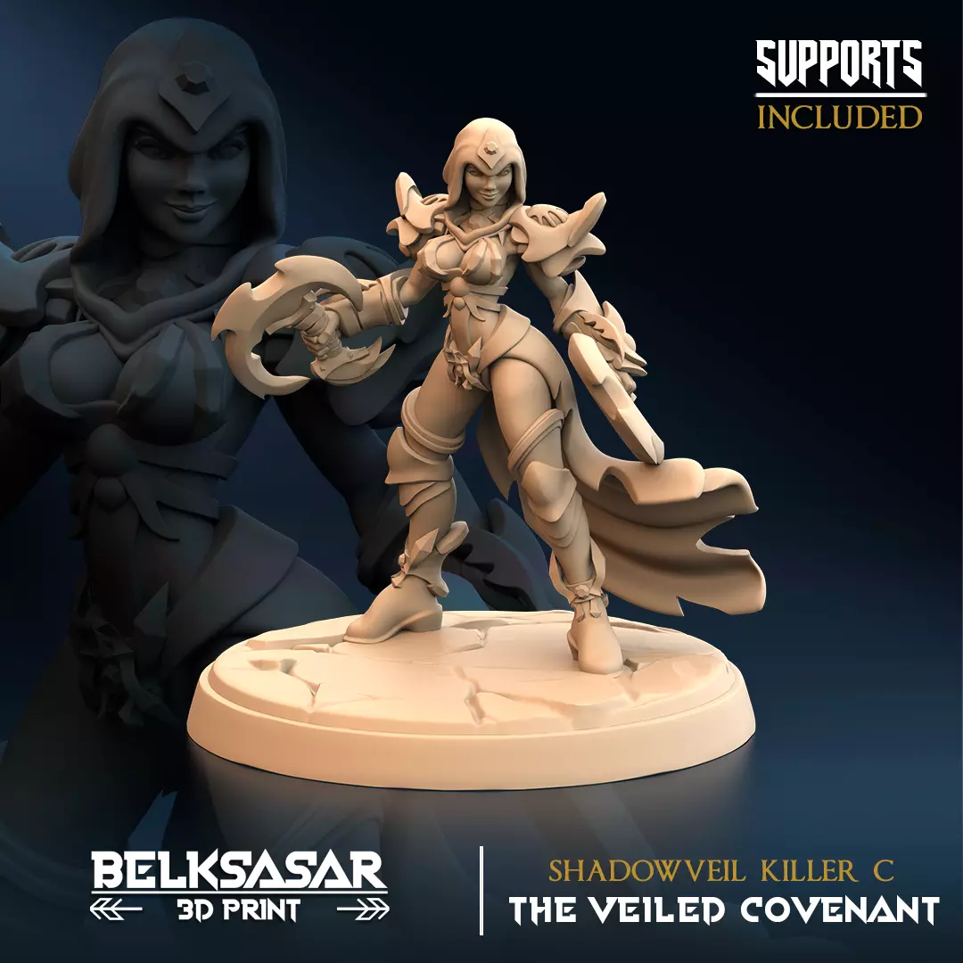 Drow Dual Blade Assassin - Shadowveil Killer C 3D print model