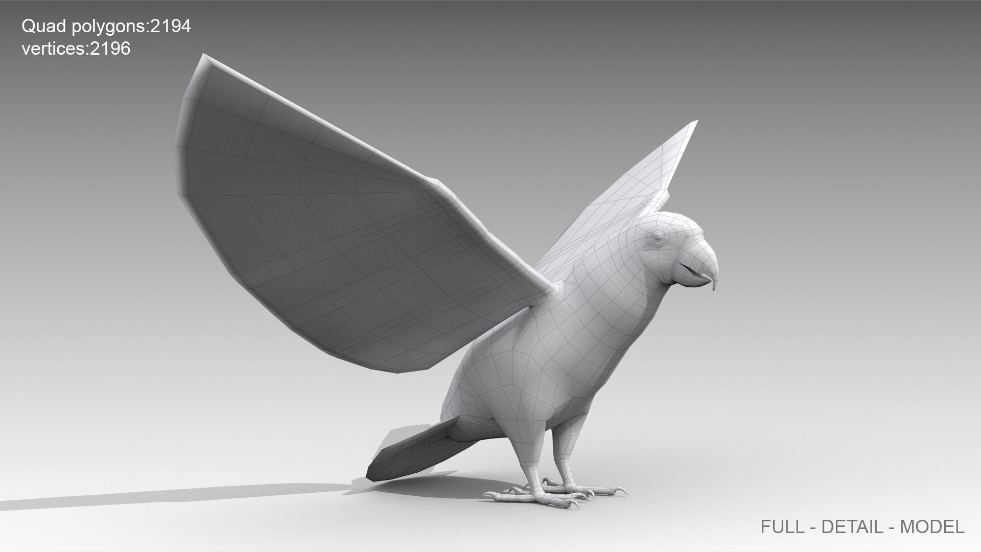 Grey Parrot Animated Low-poly 3D model_5