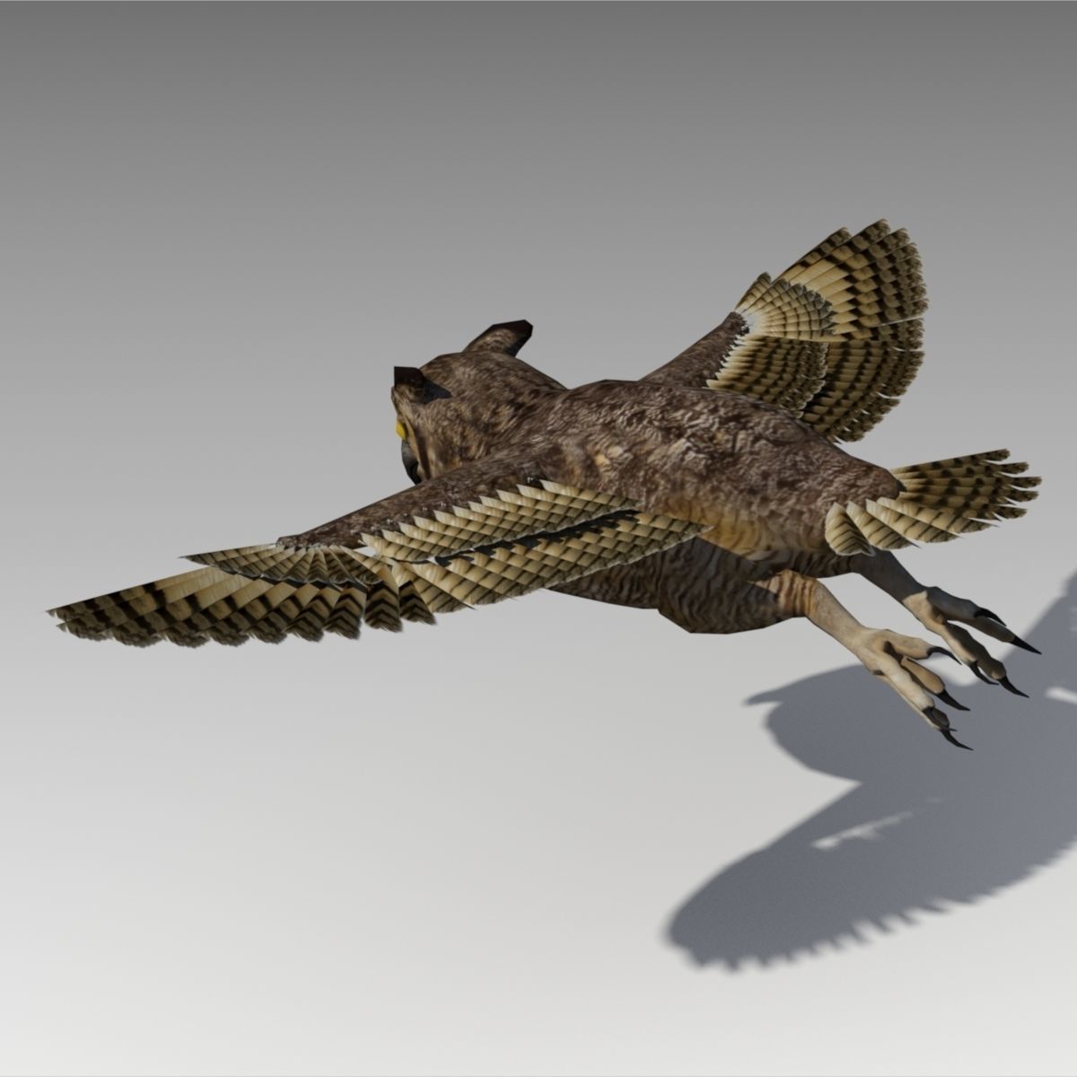 Owl Animated Low-poly 3D model_4