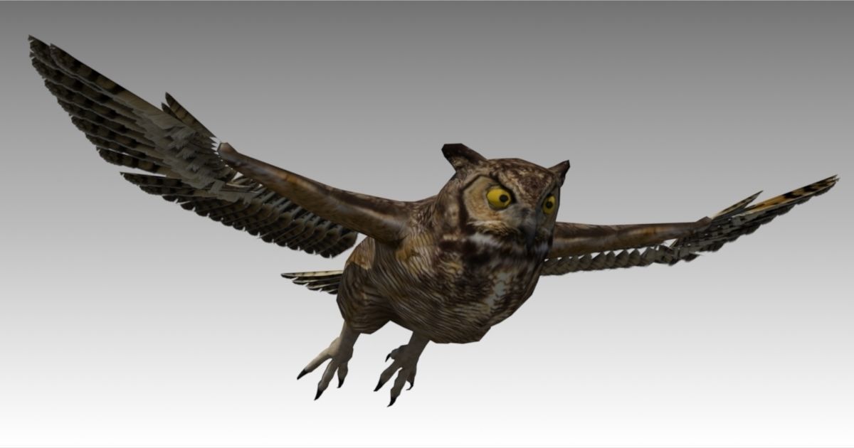 Owl Animated Low-poly 3D model_6