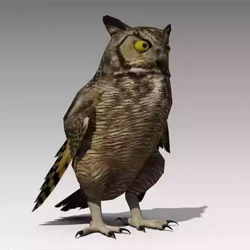 Owl Animated