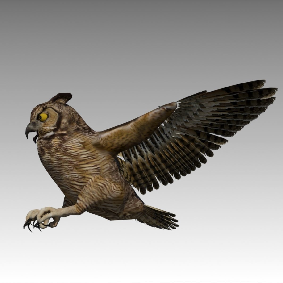 Owl Animated Low-poly 3D model_3