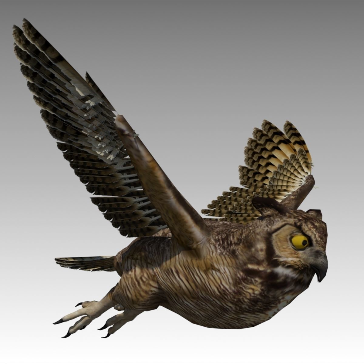 Owl Animated Low-poly 3D model_2