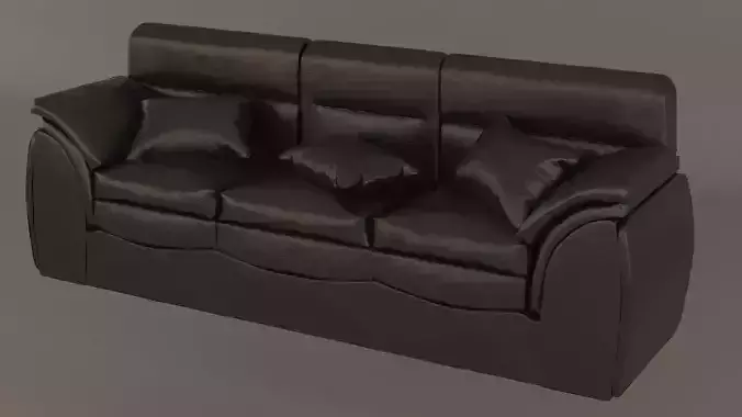 leather sofa