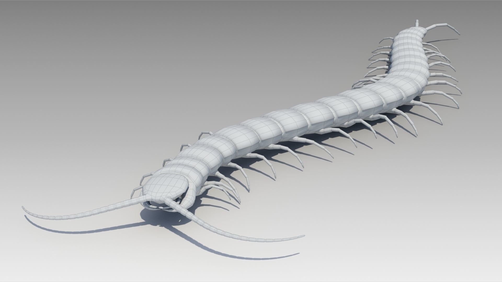 Centipede Low-poly 3D model_2