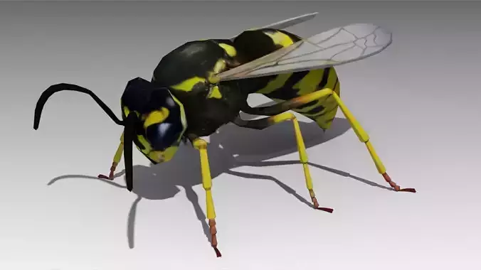 Wasp Animated Low-poly 3D model