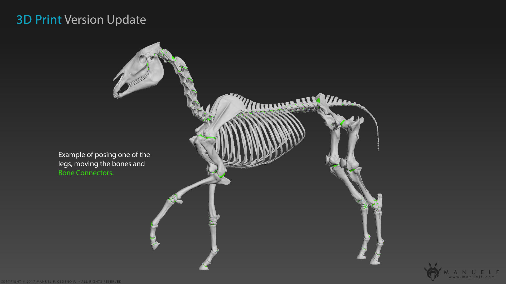 3D Horse Skeleton 3D model_12