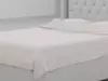 Luxury Wingback Diamond-Tufted Upholstered Bed - Sample File free 3D ...