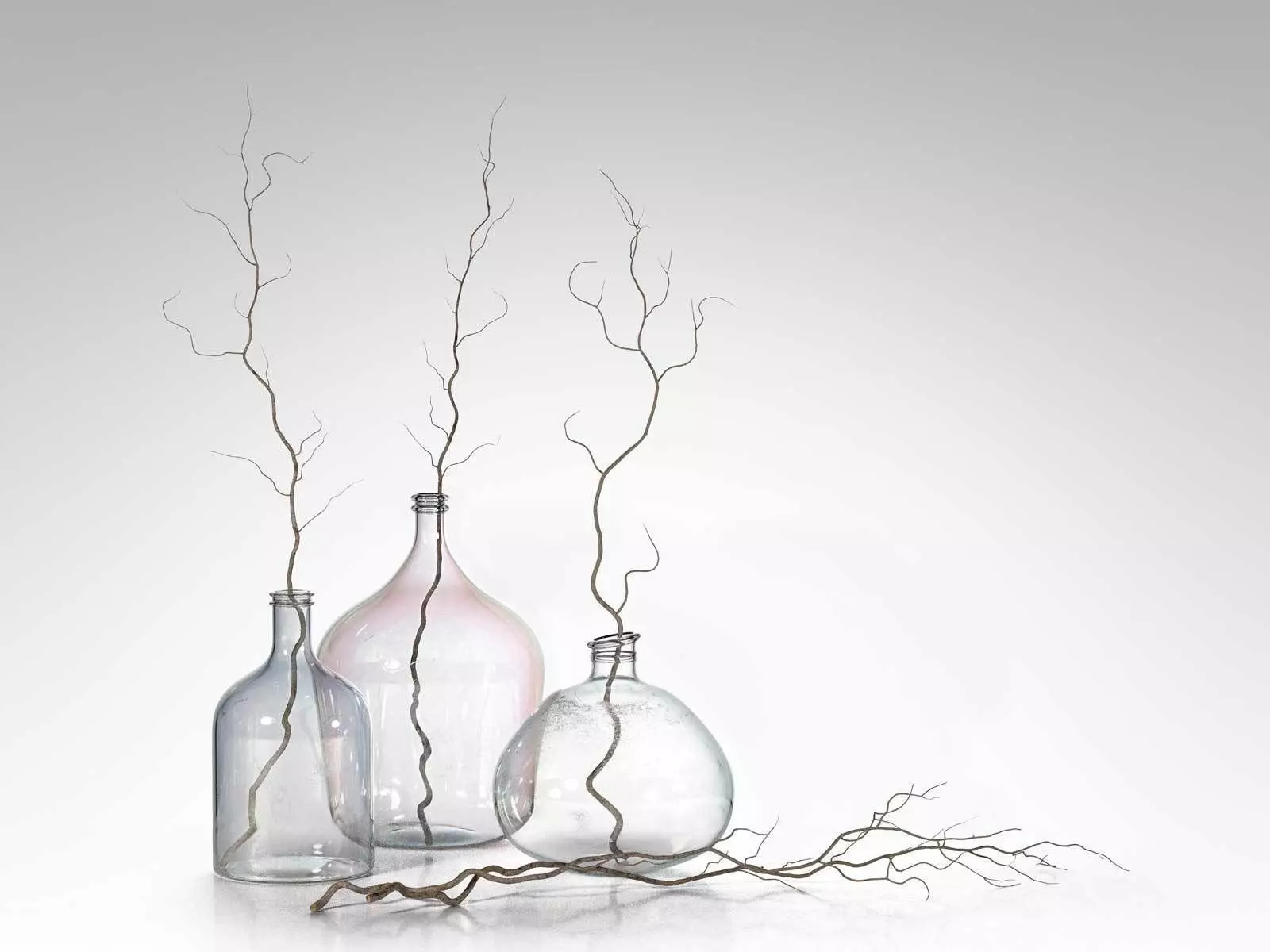 Bottle Vases with Branches 3D model_0
