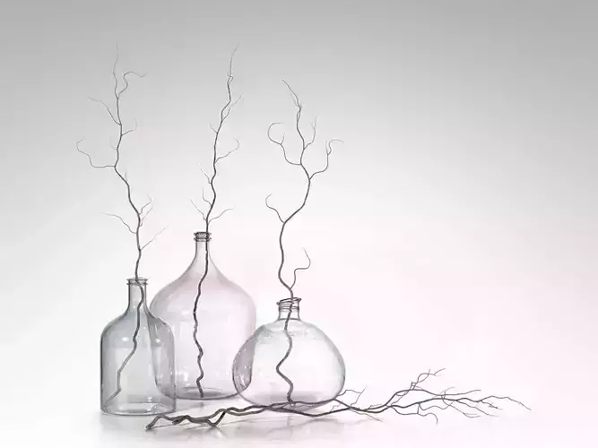 Bottle Vases with Branches