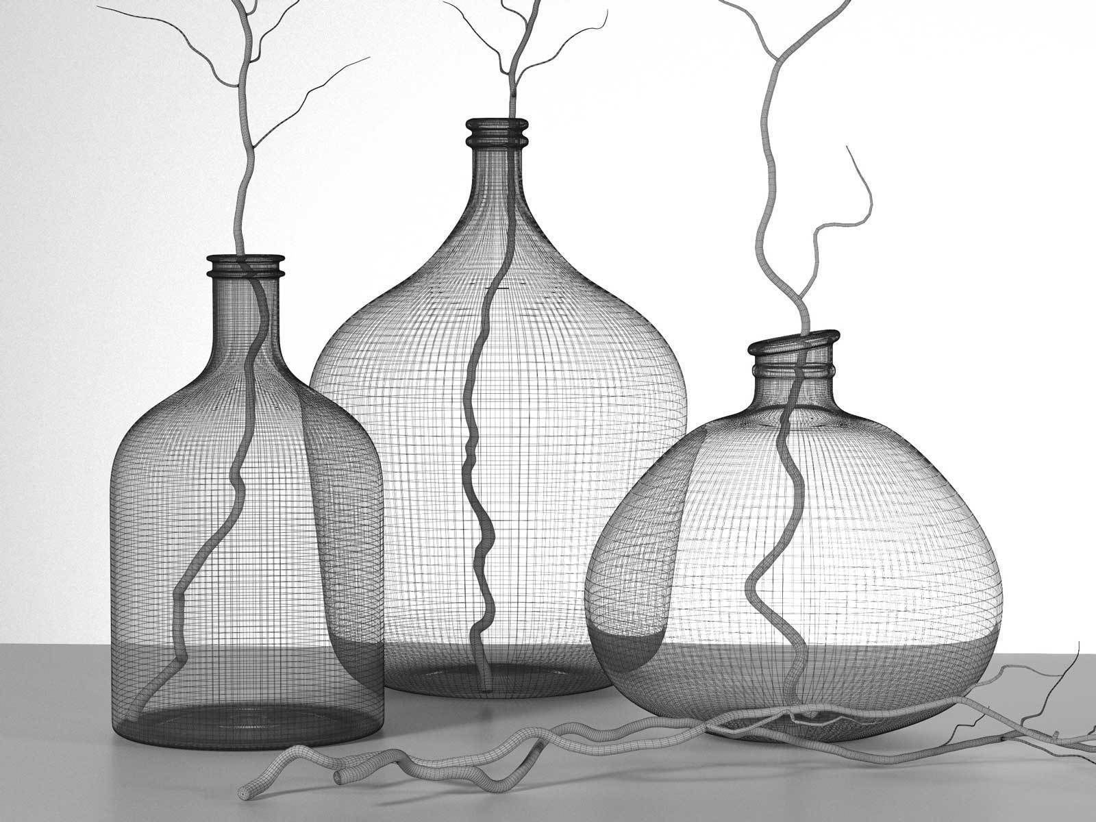 Bottle Vases with Branches 3D model_1