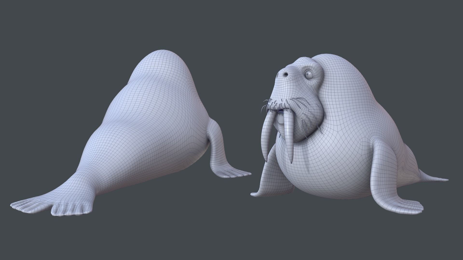 Cartoon Walrus Low-poly 3D model_4