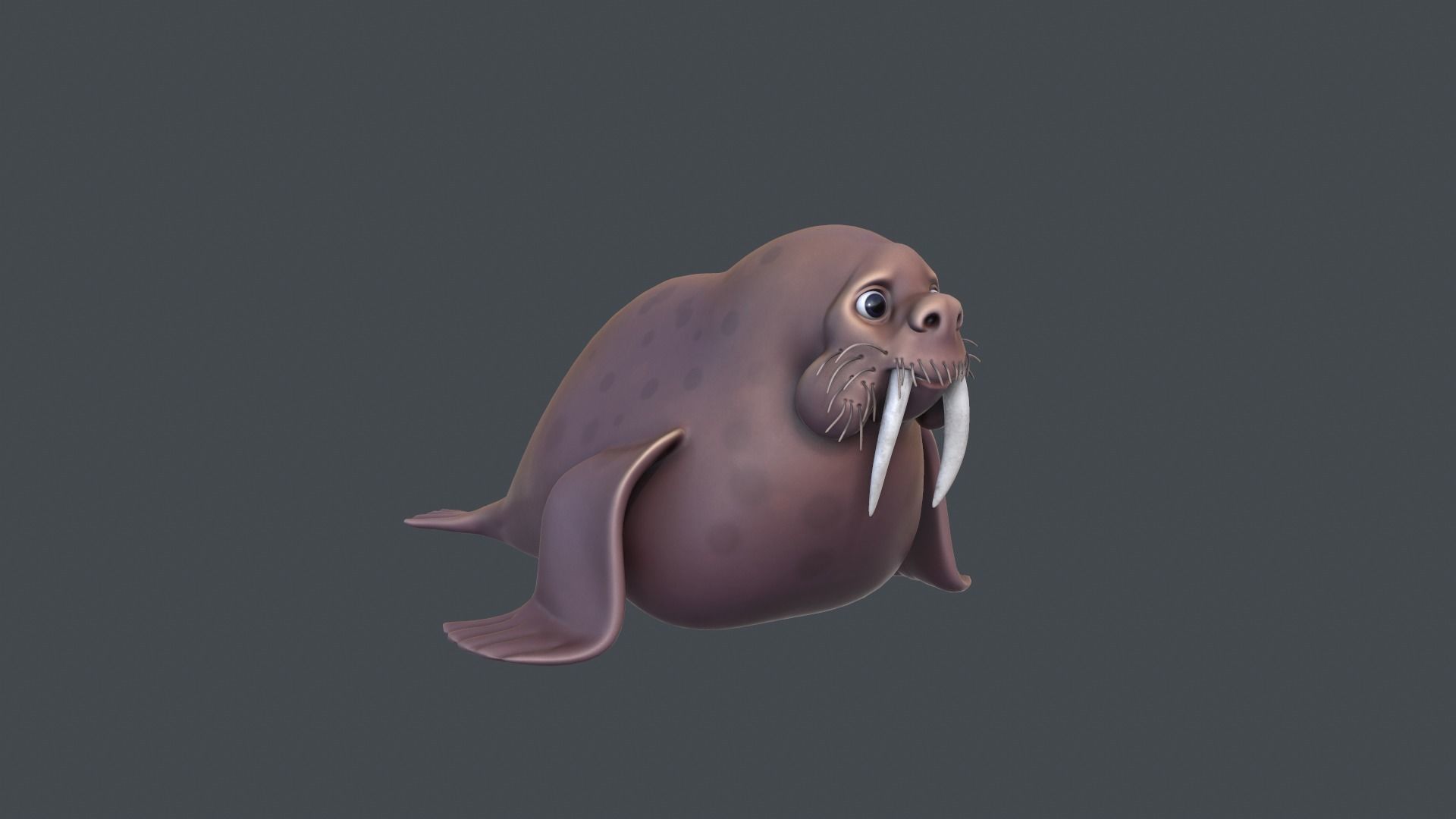 Cartoon Small Walrus  Low-poly 3D model_1