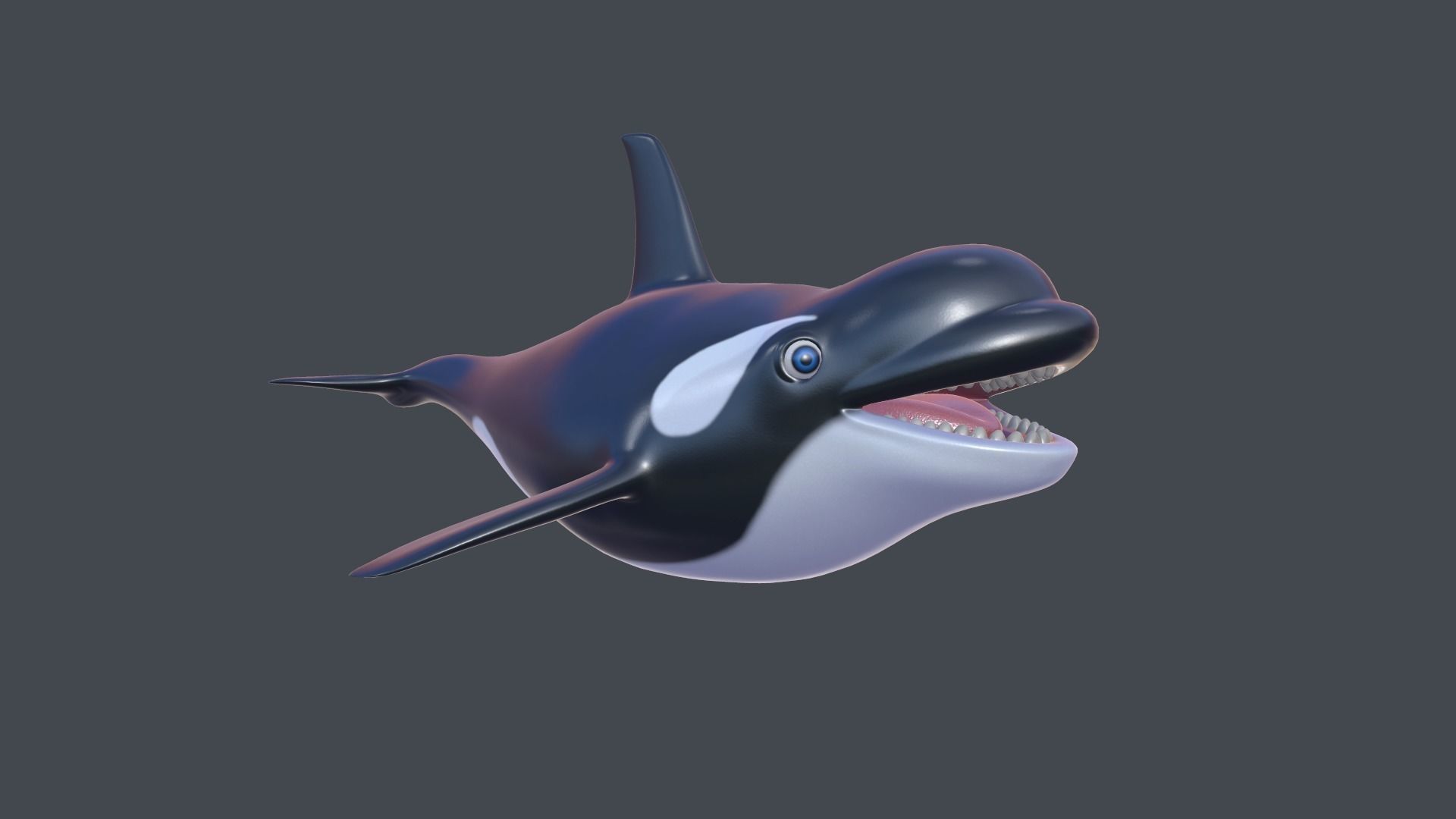 Cartoon Killer Whale Low-poly 3D model_1