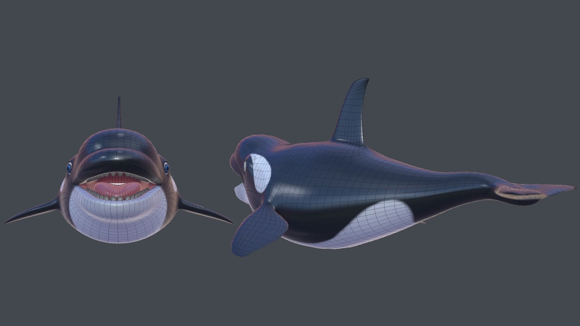 Cartoon Killer Whale Low-poly 3D model_3