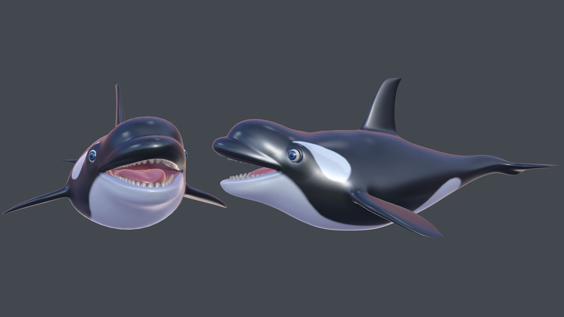 Cartoon Killer Whale Low-poly 3D model_2