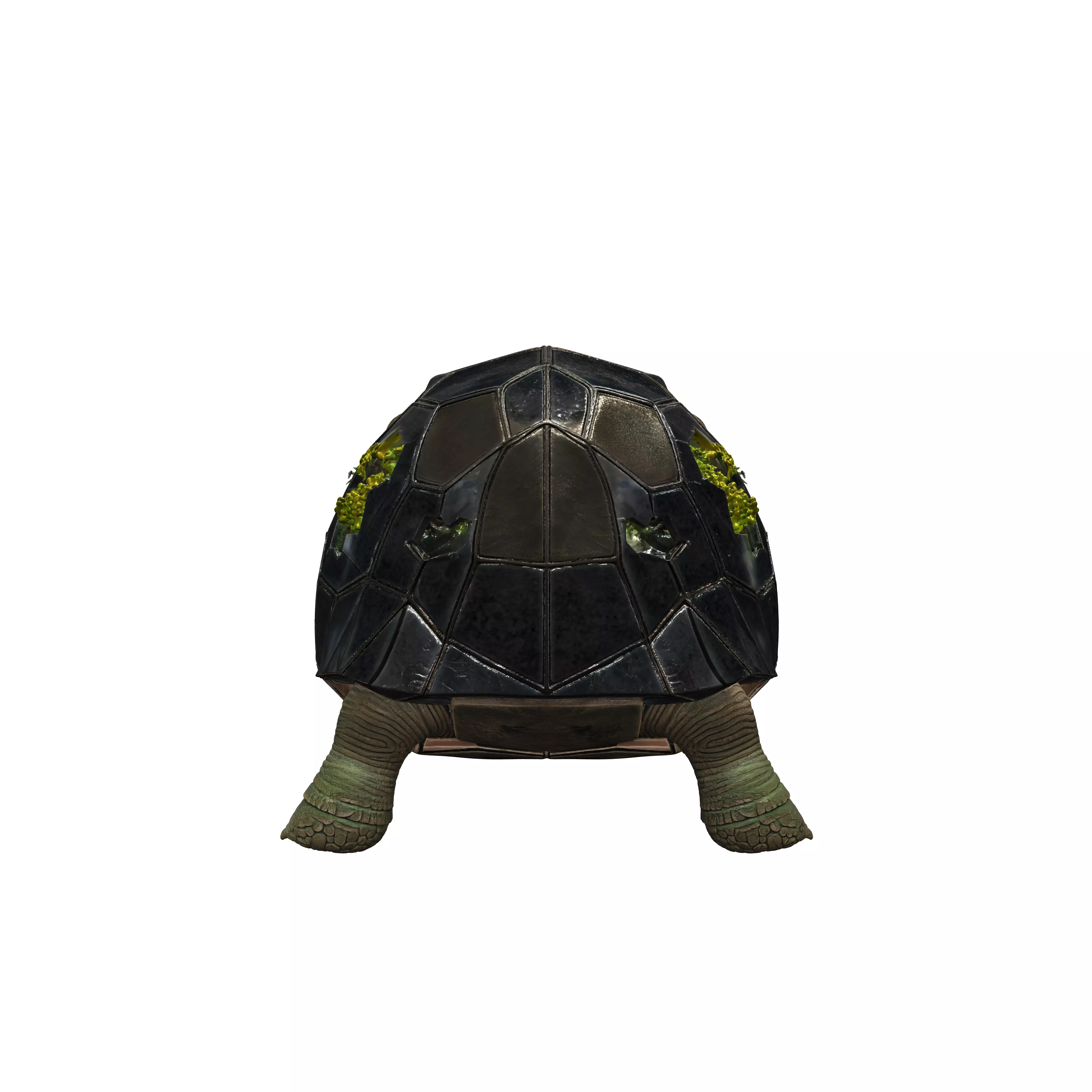 A Giant Tortoise with a shell made of geometric mirrored glass 3D model