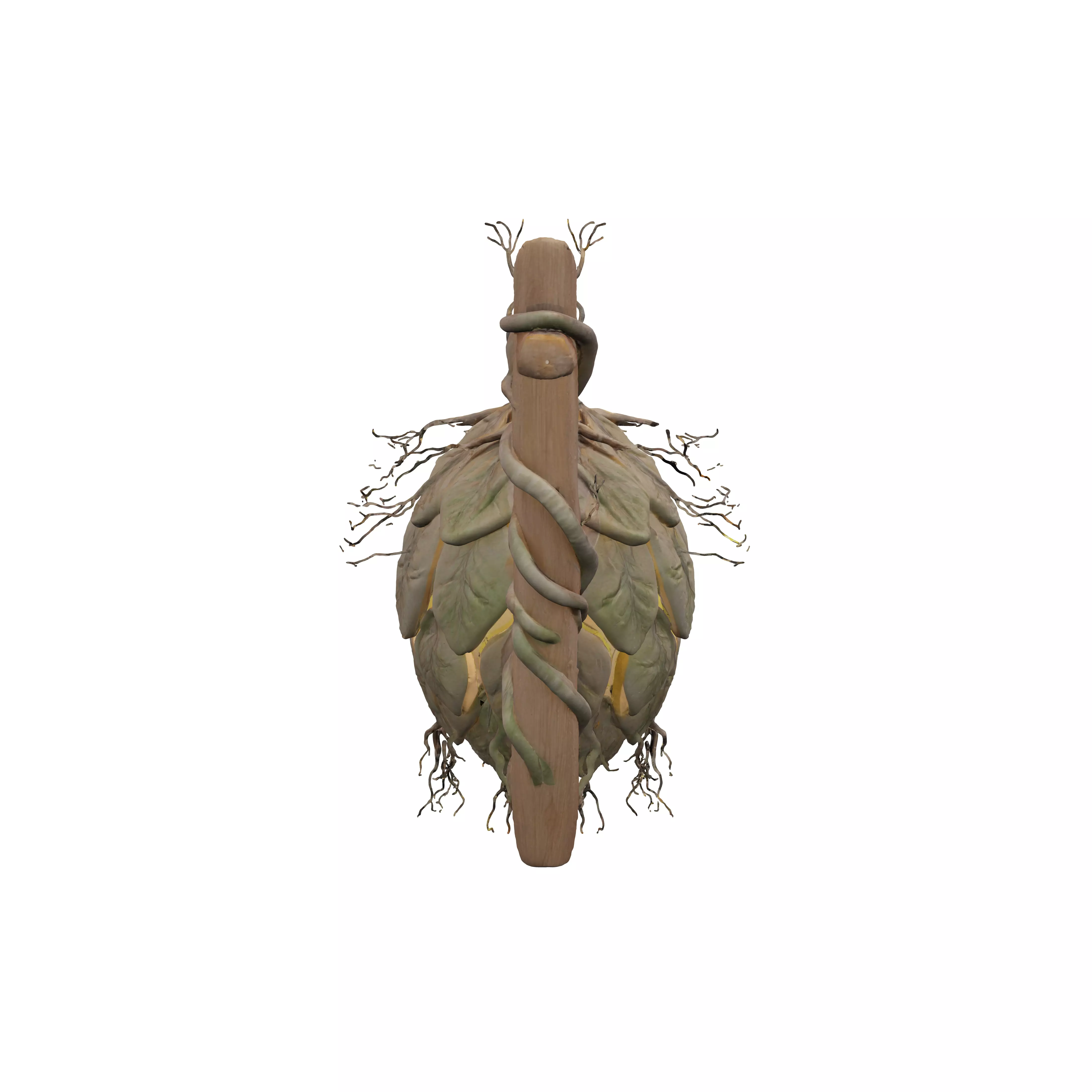 A handmade clay lantern with leafshaped openings softly glowin 3D model